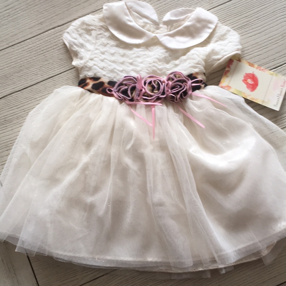 Little girls dress NWT